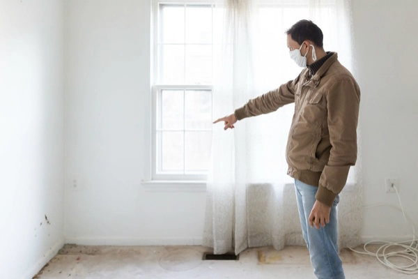 Mold Inspector in Jackson Township, NJ
