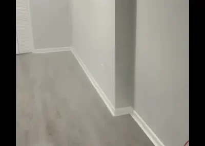 Trusted Mold Specialist