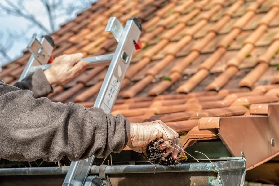 How Clogged Gutters Lead To Mold Growth In Homes Jackson Township, NJ How Clogged Gutters Lead To Mold Growth In Homes Jackson Township, NJ