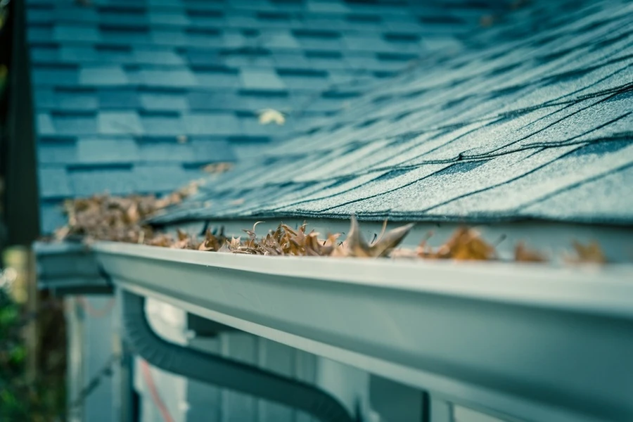 How Clogged Gutters Lead To Mold Growth In Homes in Jackson Township, NJ How Clogged Gutters Lead To Mold Growth In Homes in Jackson Township, NJ
