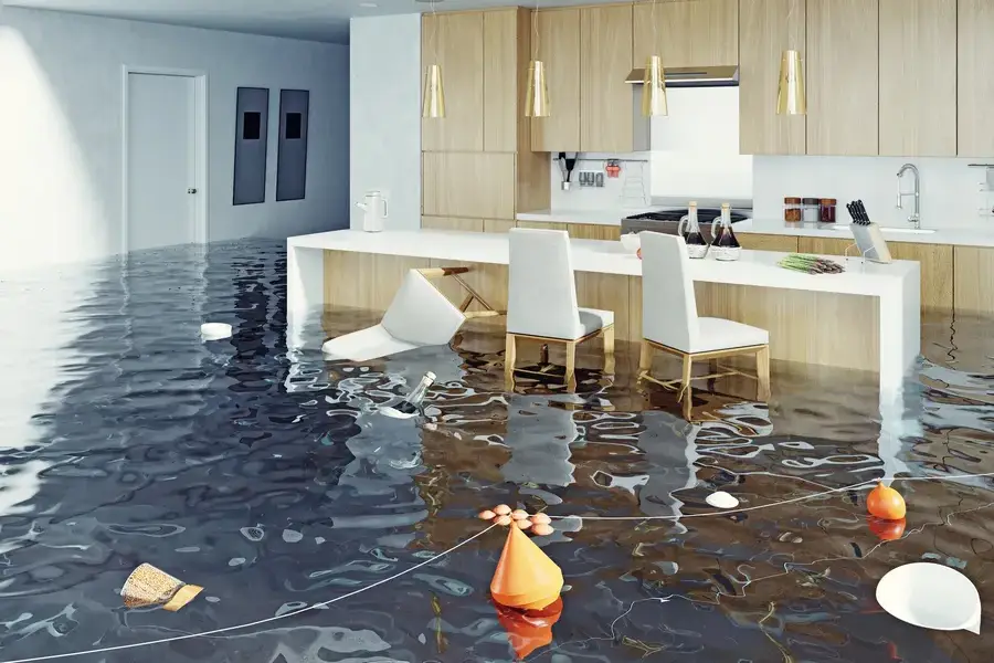 How Mold Grows After Water Damage And What To Do Jackson Township, NJ How Mold Grows After Water Damage And What To Do Jackson Township, NJ