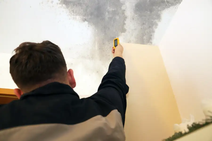 The Importance of Mold Inspection After Water Damage Jackson Township, NJ