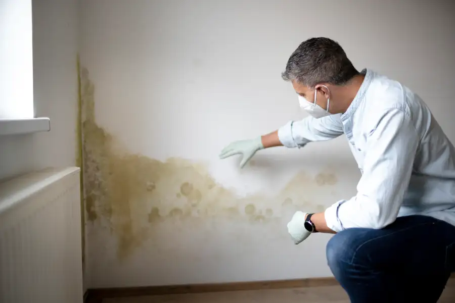 The Importance of Mold Inspection After Water Damage in Jackson Township, NJ