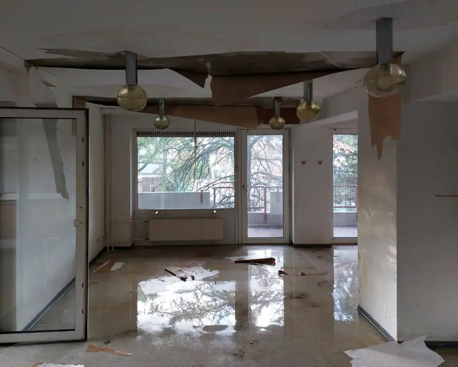 Top-rated Water Damage Removal Jackson Township, NJ